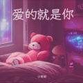 小玥玥. - 爱的就是你 (无论我走到哪里都不能停止想你)