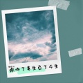 陈保才 - 你许了来生负了今生