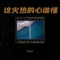 陈保才 - 这火热的心谁懂