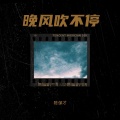 陈保才 - 晚风吹不停