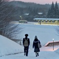 雪の花