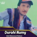 Shah Muhammad Shaheen - E Jana Johan