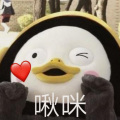 是芝士呀 - 不完美小孩