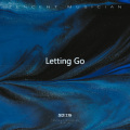 是芝士呀 - Letting Go
