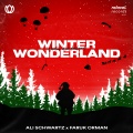 Ali Schwartz、Faruk Orman - Winter Wonderland