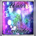 Lavender (Explicit)