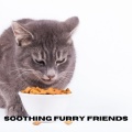 Relax My Kitten、Music For Cats、RelaxMyCat - Calm Bonds
