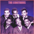 the contours - First I Look at the Purse