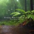 微笑旋律咖啡音乐 - 雨中平凡的一天