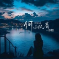 那美悠 - 何必执着一张脸