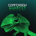 skerik、Brian Haas、James Singleton、Simon Lott - Nugget