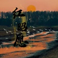 小野来了 - 红昭愿