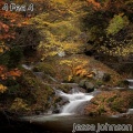 Jesse Johnson - 4 Fea 4