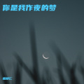 你是我作夜的梦 (痛心版)