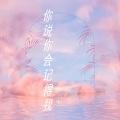 你说你会记得我 (深情版)