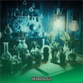 Herbology - Mulch