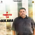 Krishan - Gulabe Ghaal Kabaddi