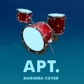 Spice Cookie - Apt. (Marimba Cover)