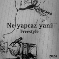 Alican - Ne Yapcaz Yani (Freestyle)(Explicit)