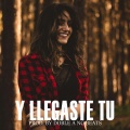 Y Llegaste Tu (Instrumental Romantico)