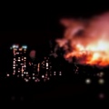 ruibetsu、宮舞モカ - 昨日の猛禽 (10月)