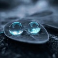 Diaspora - Two Drops Of Water