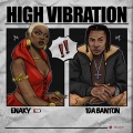 High Vibration (Explicit)