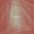 Luminous