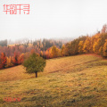 乌延永安 - 眼儿媚·立冬