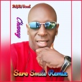 Chaney - Sara Smile (Remix)
