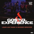 Vincenzo Genovese、Liquid Light Music、Daniel Dzanta、Nadyne Rush - Alive