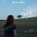 赵乃吉 - 谁 (治愈版)