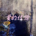 李羽彤 - 爱的代价