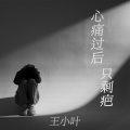 心痛过后只剩伤疤 (低吟版)