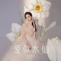 羊思亦 - 爱似水仙