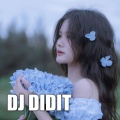 DJ Didit - Dj Aiya Susanti