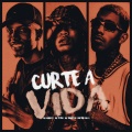 Curte a Vida (Explicit)