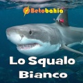 Lo Squalo Bianco
