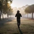 Almuerzo sereno、Meditadores、Meditación para la curación - Suave Viaje Reflectante Lofi