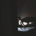 Salpa、Luke Bower、Tim Gardner、Uma Bunnag Blacker、Puma Blue、Jacob Allen - Super Quiet