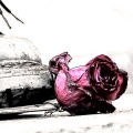 unTyed、TroubledLeon、sorrow bringer - You Say It's Love