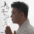 崔伟立 - 真的不想让你走