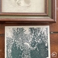 Tombo - Forest dweller ⇞⇞⇞