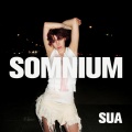 SUA - ME GANA