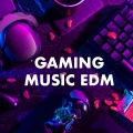 Gaming Music EDM (Explicit)