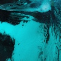 Strayline. - Dredges