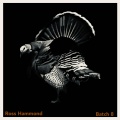 Ross Hammond - Ink Cartridge
