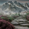 bludwalkhater - Sum1 Tht I Knew (Explicit)
