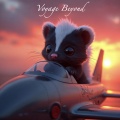 Voyage Beyond