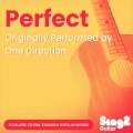 Perfect (Originally Performed by One Direction)(Acoustic Guitar Karaoke)